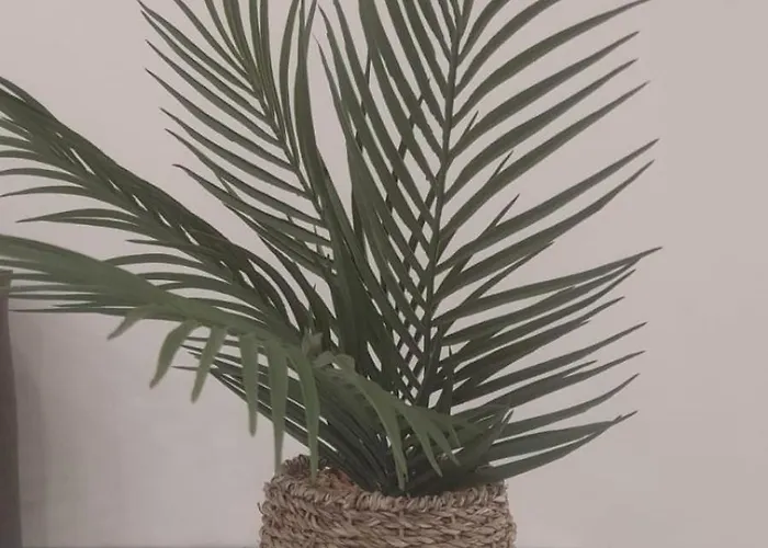 Casa Cataluna 14 Apartment *