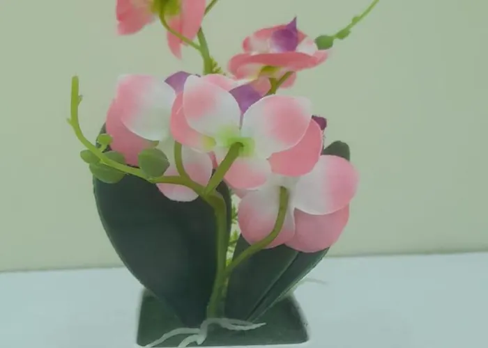 Apartment Casa Cataluna 14